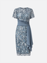 Elegant Crew Neck Lace Regular Fit Dress